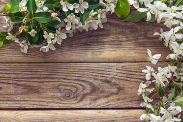 Spring flowering branch on wooden background. Apple blossoms.