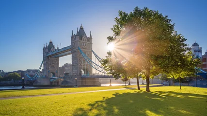 Gordijnen London, UK - Iconic Tower Bridge at sunrise in the morning with sunlight, tree, blue sky and green grass © zgphotography