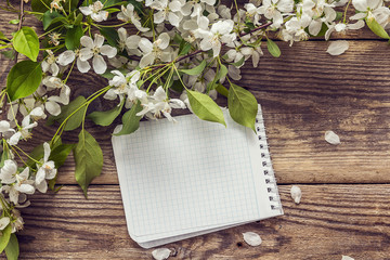 Apple blossom and empty notebook for text on wooden background.