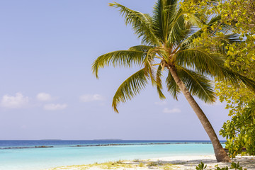 Naklejka na ściany i meble Beautiful island beach with sandspit at Maldives
