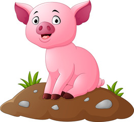 Cartoon adorable baby pig