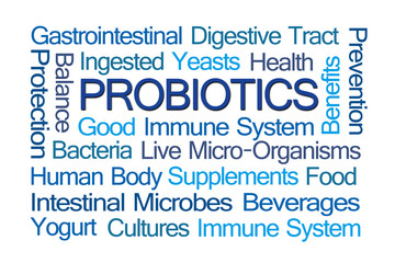 Fototapeta premium Probiotics Word Cloud