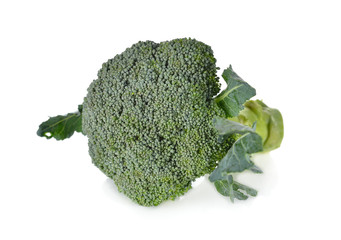 fresh broccoli with leaf on white background