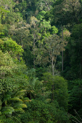 Landscape with mountains covered forests,Thailand