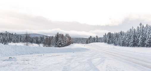 Fototapeta na wymiar Empty road in winter