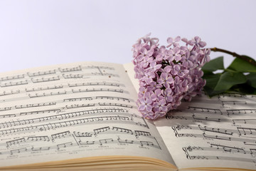 Fototapeta premium lilac branch and music paper