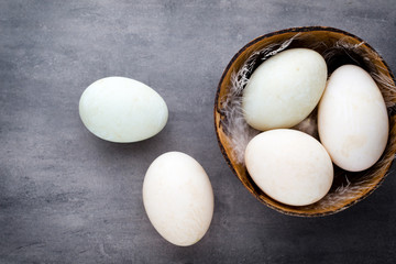  Duck eggs on a cage gray background.