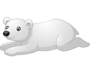 Cute polar bear cartoon lay down