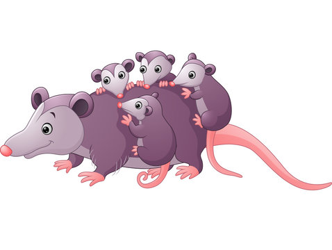 cute cartoon possum with childs