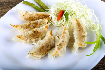 Japanese dumplings
