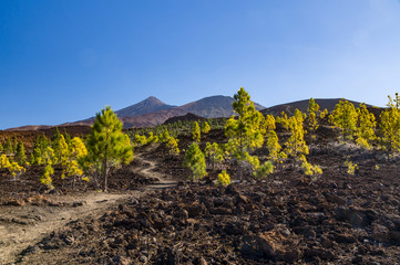 Hiking trail leading through volcanic landscapes