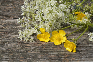 Close up of old wooden bench in the parc with fieldflowers as buttercups and whistling herb in the...