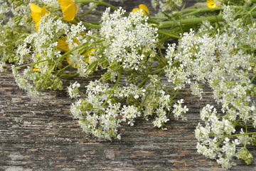 Close up of old wooden bench in the parc with fieldflowers as buttercups and whistling herb in the...