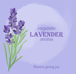 The background for the text label of the packaging the card with lavender flowers.