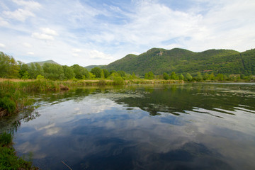 landscape of pond