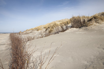 Dünenlandschaft, Norderney, Ostfriesland, Niedersachsen, Deutschland