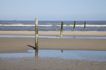 Holzpfähle im Meer, Norderney, Ostfriesland, Niedersachsen, Deutschland
