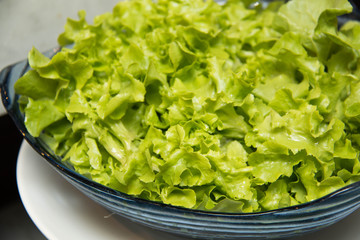  close-up of lettuce salad on glass