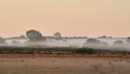 Stone wall, KarlXgustavs Mur Isle of Oeland, Sweden