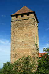 Fototapeta na wymiar Schloss Liebenstein 10 - Burgfried
