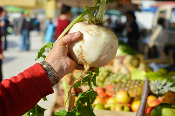 Woman hand holding swede or turnip at street farmers market