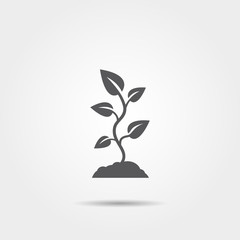 Plant sprout icon