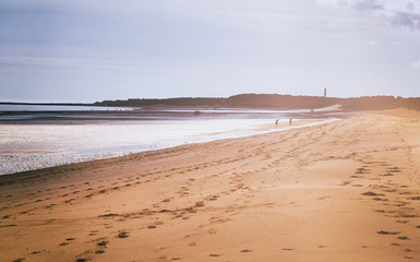 Families enjoying a sandy beach.