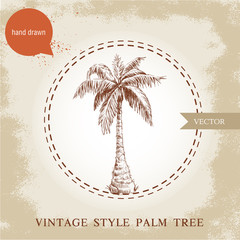 Hand drawn coco palm tree sketch illustration on vintage grunge background. Travel and vacation symbol.