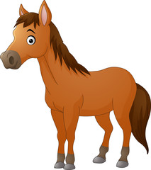 Cute horse cartoon
