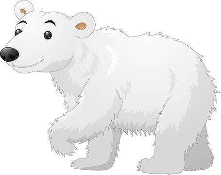 White Polar Bear cartoon