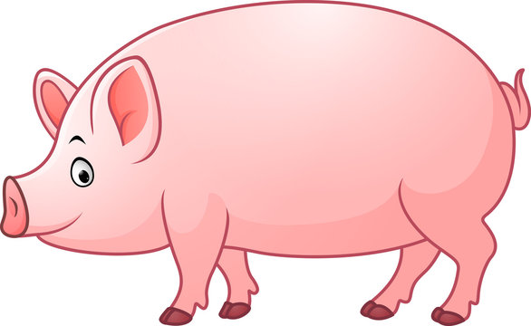 Cartoon happy pig
