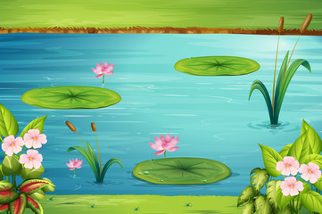 Scene with lotus in the pond © GraphicsRF