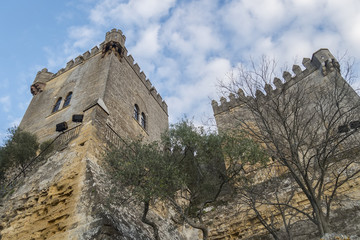 Fototapeta na wymiar Almodovar del rio Castle, Cordoba, Spain