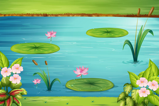 Lily Pad Clip Art Images – Browse 563 Stock Photos, Vectors, and Video |  Adobe Stock