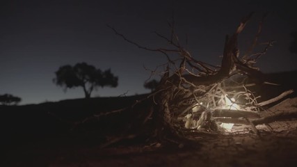 Feu de camp dans le désert