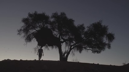 Marche dans le désert