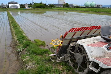 Fototapeta premium 田植え風景／山形県の庄内地方で、田植え機による水田への田植え風景を撮影した写真です。