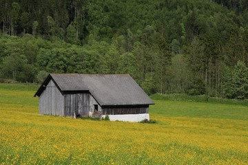 Spring scene in Switzerland