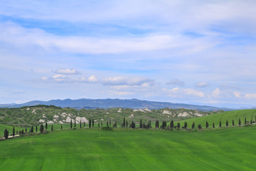 Typical Tuscany landscape springtime