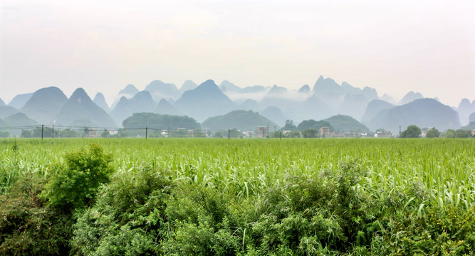 Lush green fields with oddly shaped Karst mountains in the background at Yangshuo, near Guilin, Guangxi province, China