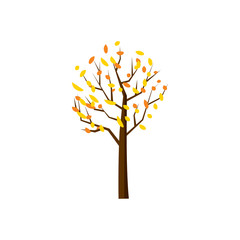 Autumn tree icon, cartoon style
