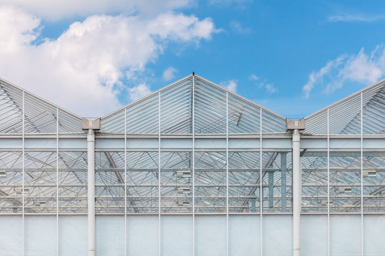 Front view of a greenhouse