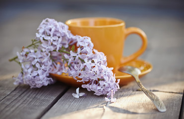Obraz na płótnie Canvas Cup with a spoon and an inflorescence of a lilac lilac