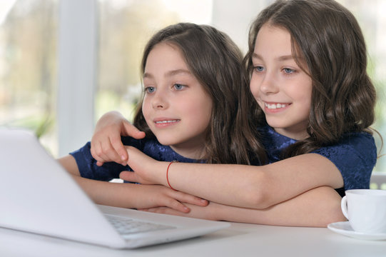 Little twin girls using laptop