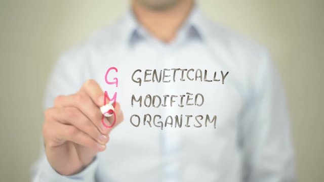 gmo genetically modified organism , Man writing on transparent screen