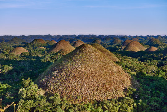 Chocolate hills Bohol Philippines