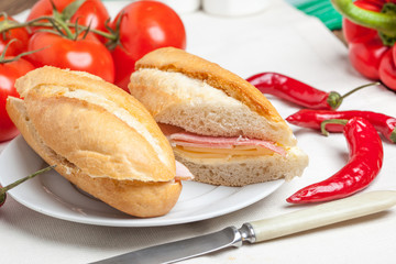 Italian panini sandwich.