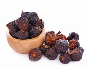 Soap Nut Tree on white background