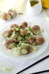 snail white round plate napkin