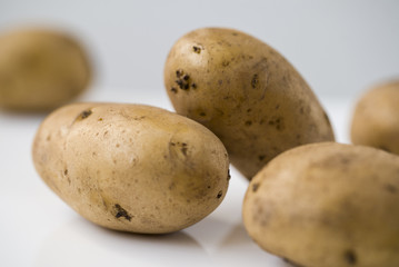 Potato isolated on white background close up